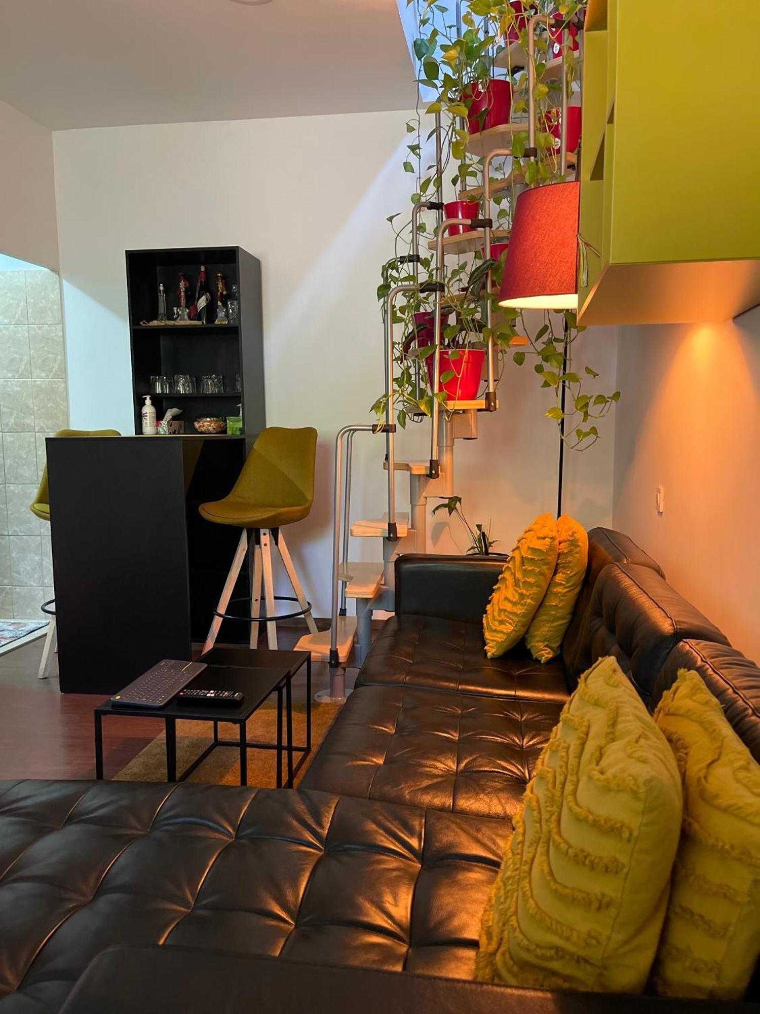 City Garden Apartments Bucureşti Eksteriør bilde