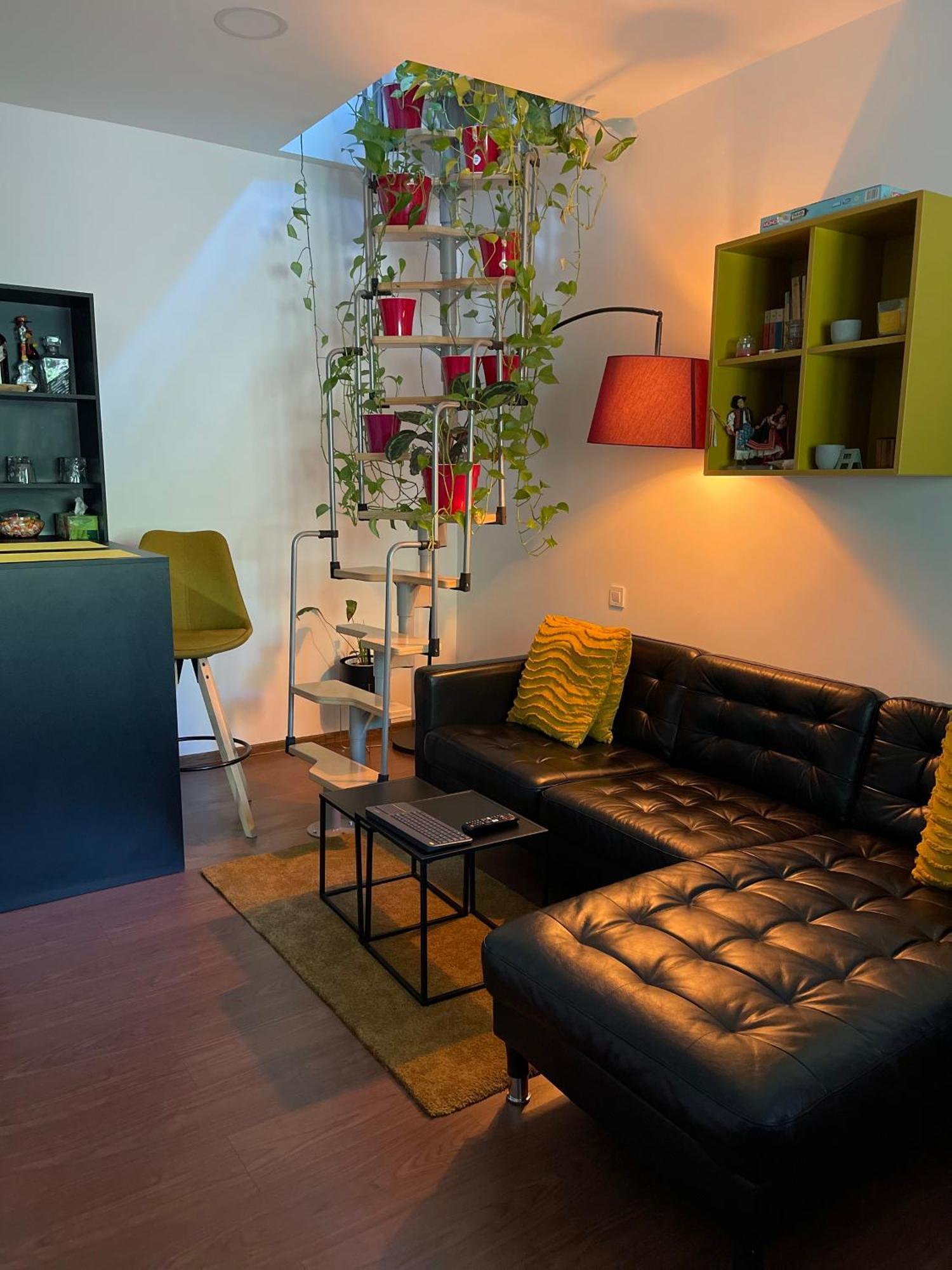 City Garden Apartments Bucureşti Eksteriør bilde