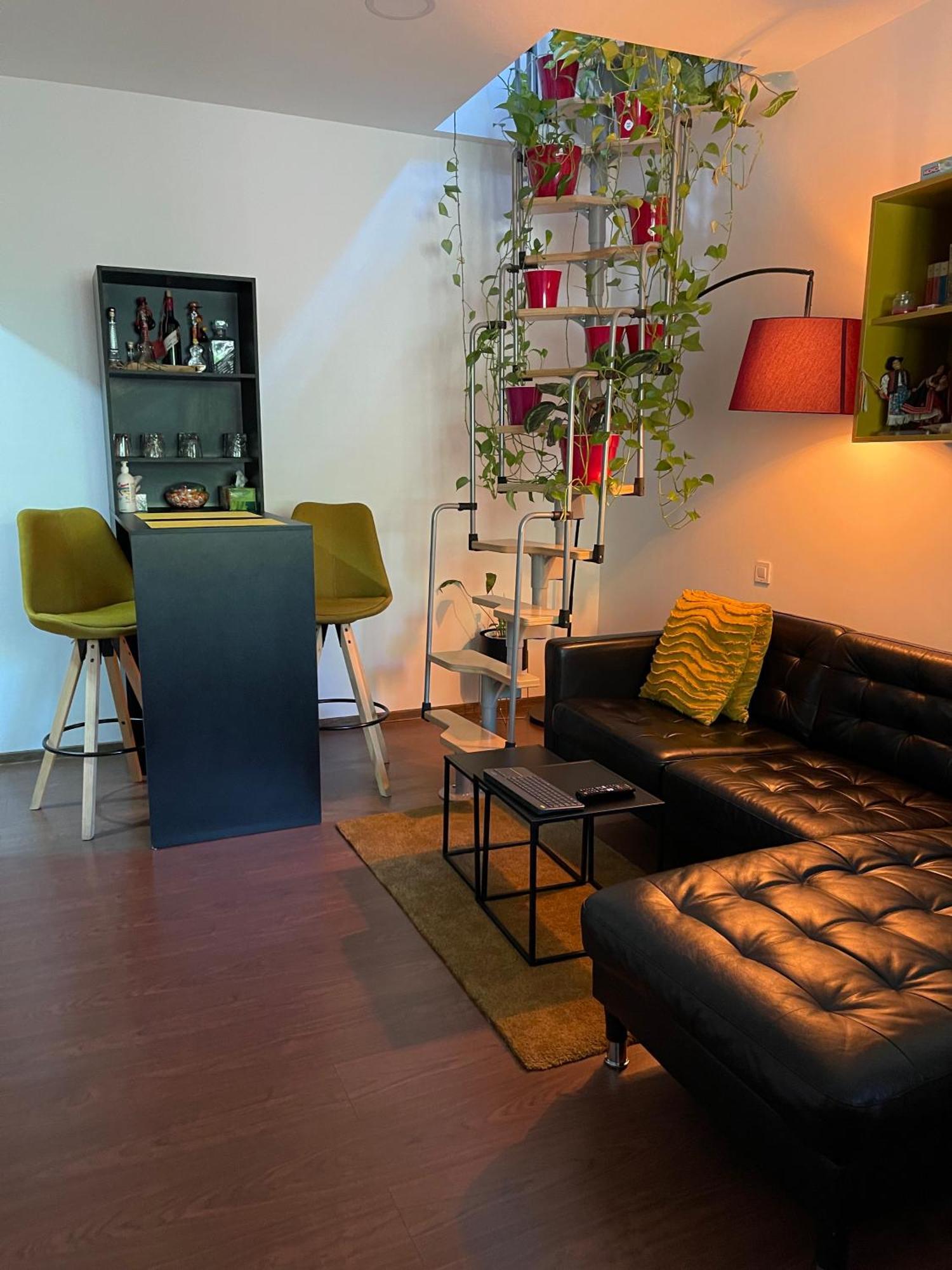 City Garden Apartments Bucureşti Eksteriør bilde