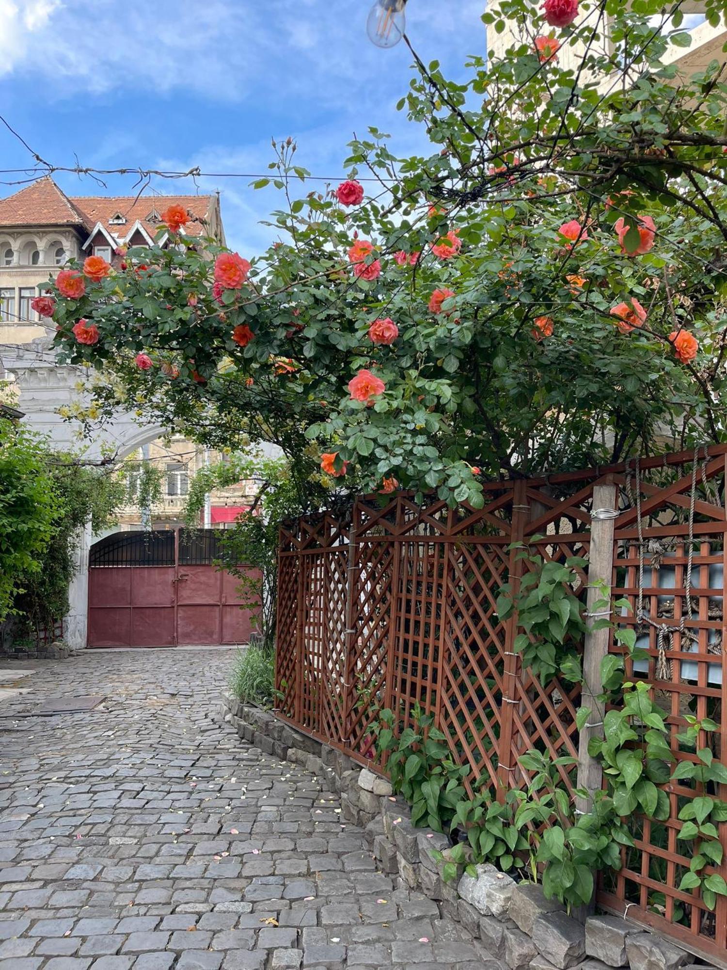 City Garden Apartments Bucureşti Eksteriør bilde
